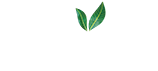 maaza